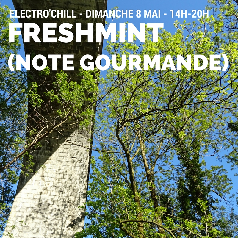  Electro'chill - Freshmint (Note Gourmande)