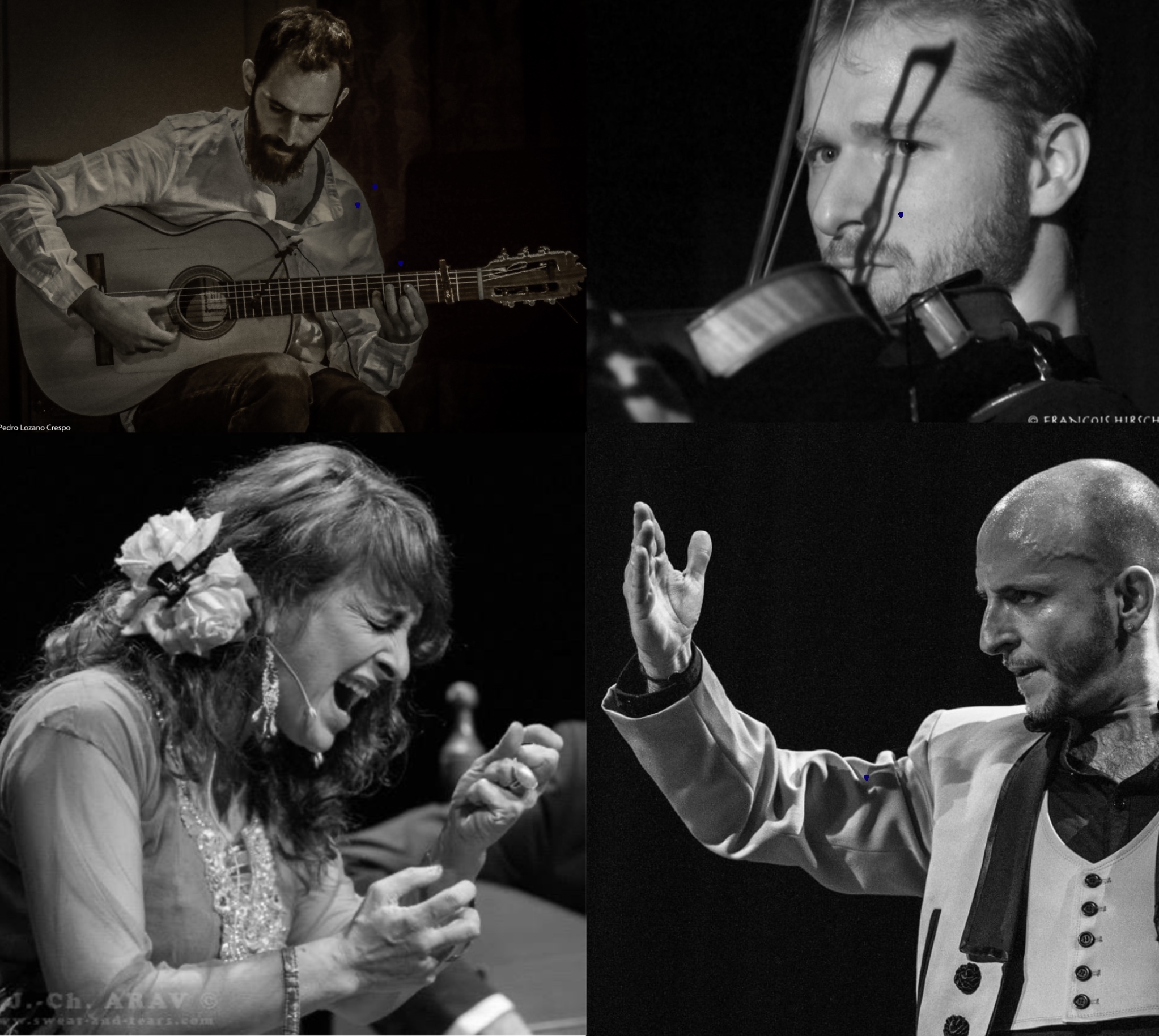 Flamenco ! Calatayud, Almodovar, Crofts y Perujo